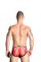 - "Lace Briefs - Red" (SALE!) 