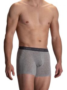 - "RED 2106 Boxerpants - Grey" (SALE!) 
