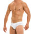 - "Golden Briefs - White" 
