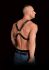 - "Ouch! - Adonis High Halter" 
