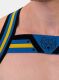  "Martin Harness - Black/Royal/Yellow" 