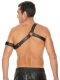  "Ouch! - Gladiator Harness With Arm Band" 
