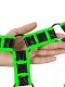  "Ouch! - Glow In The Dark Bonded Leather Body Harness" 