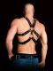  "Ouch! - Andreas Masculine Masterpiece" 