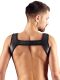 "Fetish Harness" 