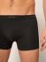 - "Cotton Fresh Trunks - Black" 