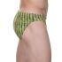 - "Cactus Stripes" (SALE!) 