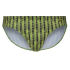 - "Cactus Stripes" (SALE!) 