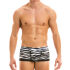 - "Animal Boxer - Zebra" 