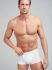 - "18502922 Trunk 2 Pack - White" ( 2 .) (. !) 