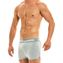 - "Classic Short - Grey" 