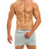 - "Classic Short - Grey" 