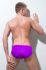 - "Toledo Briefs Purple" 