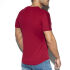  "Basic Ranglan T-Shirt - Garnet" 