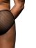- "Unleashed Sexy Mesh Briefs - Black" 