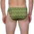 - "Cactus Stripes" (SALE!) 