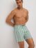 Увеличить Плавки-шорты "90377 Medium Swimsuit Alpine Green"