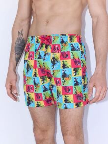 Плавки-шорты "90368 Medium Swimsuit Parrot"