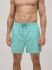 Увеличить Плавки-шорты "90322 Medium Stripped Swimsuit Turquoise Green"