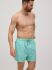 Увеличить Плавки-шорты "90322 Medium Stripped Swimsuit Turquoise Green"