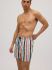 Увеличить Плавки-шорты "90323 Medium Half Coloured Stripped Swimsuit"