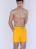Увеличить Плавки-шорты "90360 Medium Swimsuit Daffodils Yellow"