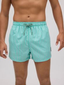 Плавки-шорты "90321 Short Stripped Swimsuit Turquoise Green"