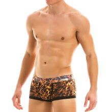 - "Animal Boxer - Leopard" 