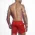�������� ����������� "Fitness Medium Pants - Red" 