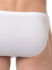 - "Premium Cotton - Comfort Micro Briefs White" (. !) 