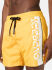 ������-����� "Vertical Logo Medium Boardshort - Yellow" 