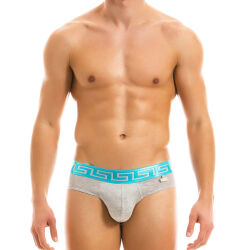 - "Meander Briefs - Grey" 