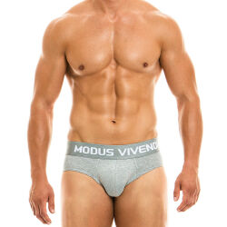 - "Classic Briefs - Grey" 