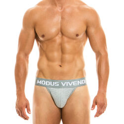 - "Classic Tanga Briefs - Grey" 