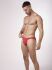 �����-����� "RED 2400 Brazilbrief - Red" 