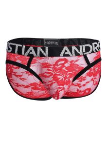 �����-����� "Lace Briefs - Red" (SALE!) 