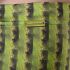 ������-������� "Cactus Stripes" (������!) 