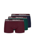 �����-������� "Cotton Stretch Trunks 3 Pack - Celebration Selection" (�������� 3 ��.) 