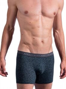 �����-������� "RED 2164 Boxerpants - Blue Leaf" 