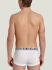 �����-������� "Essential - 2-Pack Men's Trunk White" (�������� 2 ��.) 