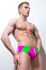 ������-����� "Fabian Briefs Garden" 