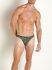 �����-����� "RED 2304 Brazilbrief - Leaves Green" 
