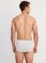 �����-����� "2246 Spurt Y-Front Briefs Grey Melange" 