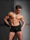 �����-������� "Free Cut Lace Trunk Black" 