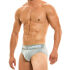 �����-����� "Classic Briefs - Grey" 