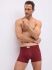 �����-������� "20400 - Boxers 2 Pack" (�������� 2 ��.) 