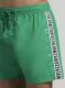 ������-����� "New Tape Medium Boardshort - Green" 