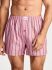 �����-����� "315500 Short Trunk Calm Stripe/ Lakeside Plaid" (�������� 2 ��.) 