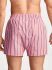 �����-����� "315500 Short Trunk Calm Stripe/ Lakeside Plaid" (�������� 2 ��.) 