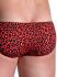 �����-����� "M800 - Low Rise Briefs Redleo" 